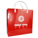  广告纸袋子 宣传覆膜纸袋 手提袋定制 上海生大定制案例