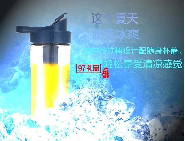 Royalstar/荣事达 RZ-250S10多功能户外运动型搅拌机水