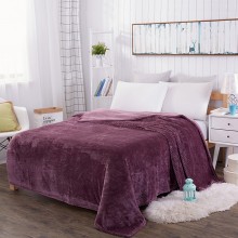 菠萝格毛毯纯素色网眼绒毯子午睡小盖毯床上用品