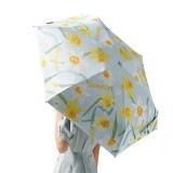 胶囊太阳伞防晒防紫外线女晴雨伞包包伞小巧便携遮阳伞定制公司广告礼品