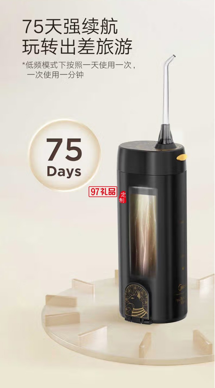 美的冲牙器 洗牙器 水牙线MC-BI0202定制公司广告礼品