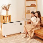 艾美特取暖器/高端电暖器WC25-A1定制公司广告礼品