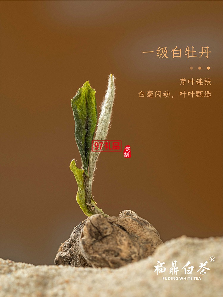 月满团圆 茶具茶叶月饼套装
