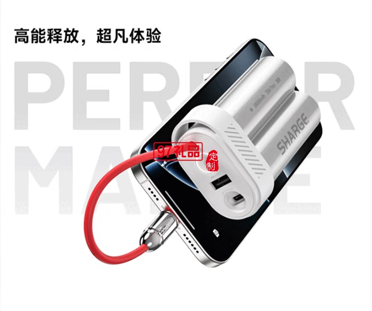 闪极-Pouch Mini移动电源10000mAh