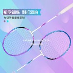 羽毛球对拍