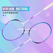 羽毛球对拍