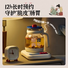蓝宝·养生壶+炖盅