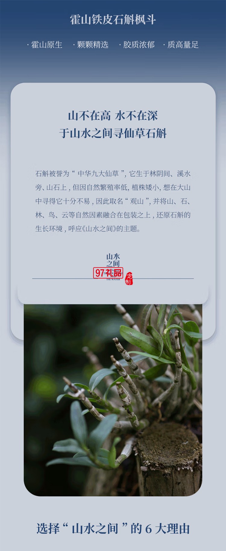 斛生记霍山铁皮石斛枫斗山水之间观山石斛礼盒