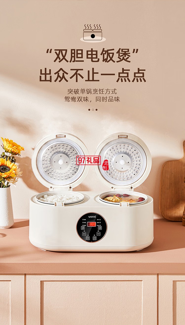 华帝智能双胆电饭煲VFB019C