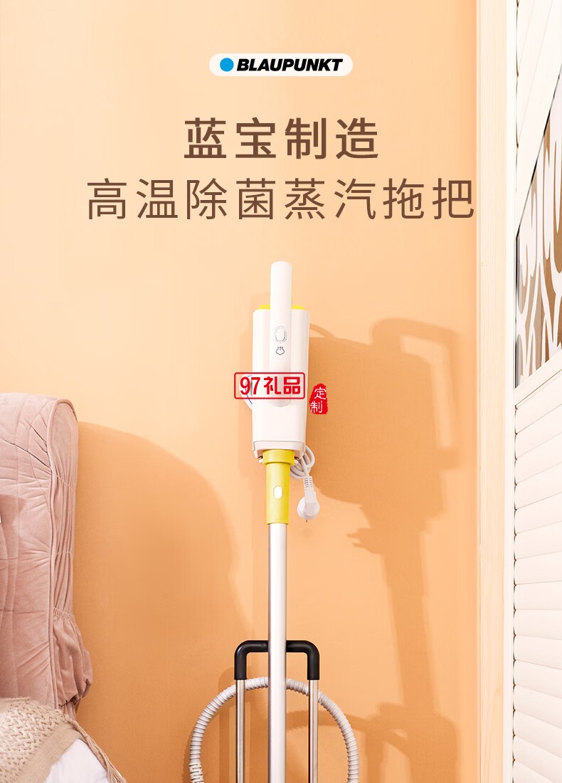 蓝宝·多功能蒸汽清洁机 