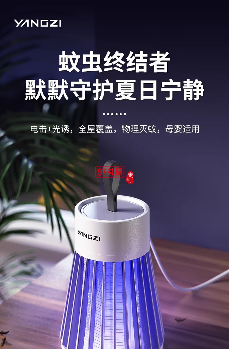 电击式灭蚊灯