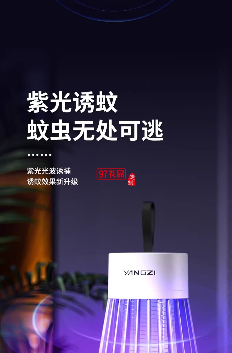 电击式灭蚊灯