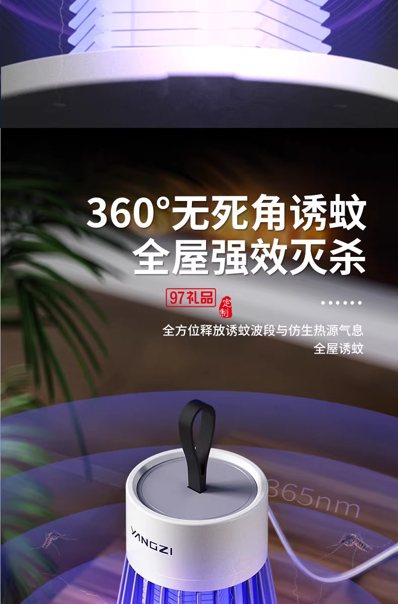 电击式灭蚊灯
