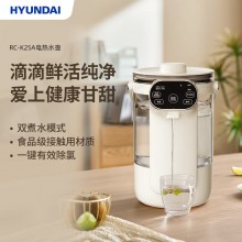 HYUNDAI电热水壶(电开水瓶)