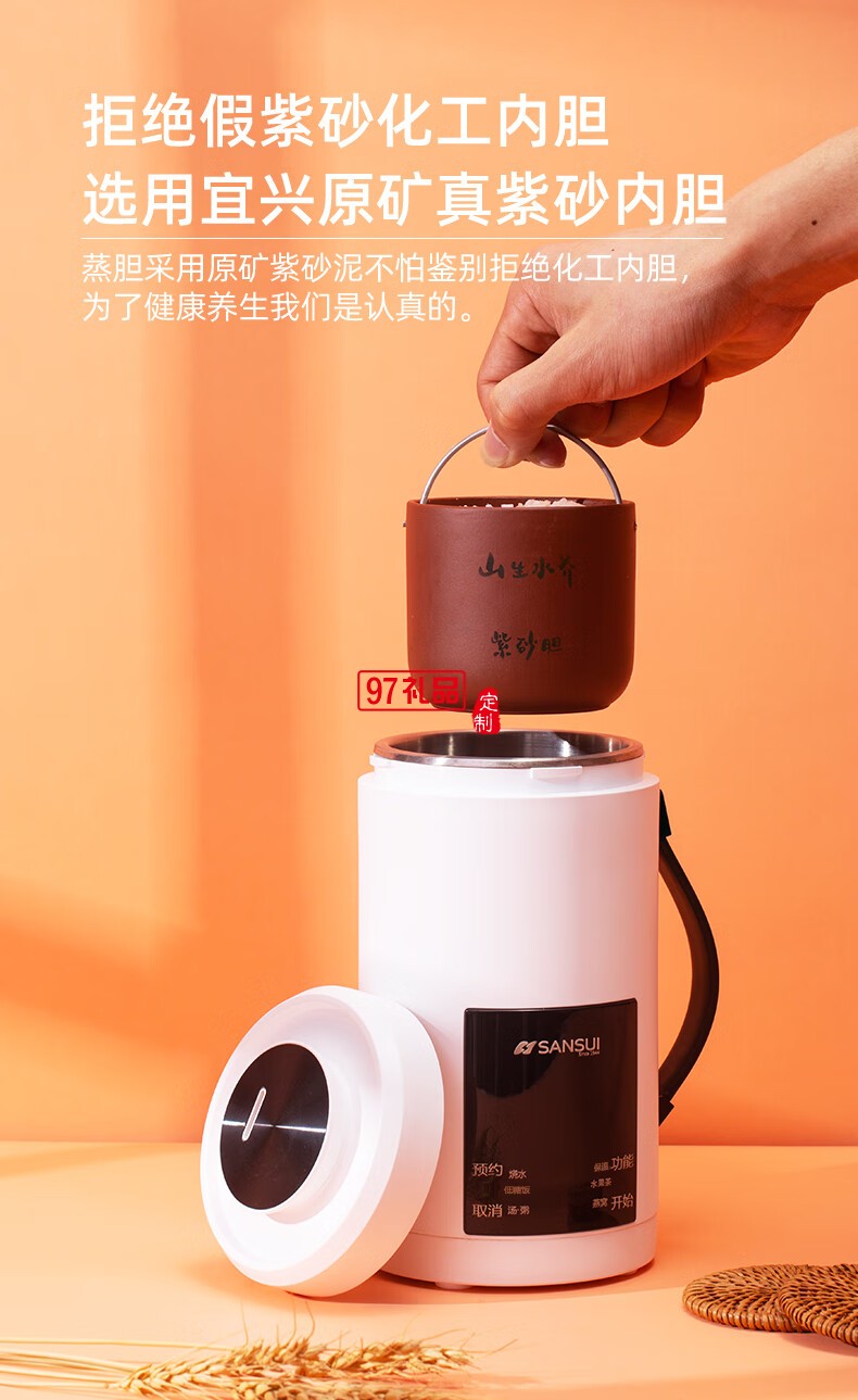 山水养生壶多功能烧水壶全自动煮茶器迷你便携式煎药壶电水壶