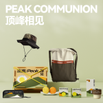顶峰相见 