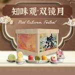 双镜月